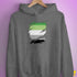 Aromantic Pride Flag Ripped Reveal Hoodie - Grey Heather
